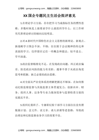 XX国企专题民主生活会批评意见
