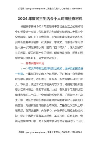 2024年度民主生活会个人对照检查材料(副职）