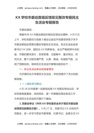 XX学校市委巡查组反馈意见整改专题民主生活会专题报告