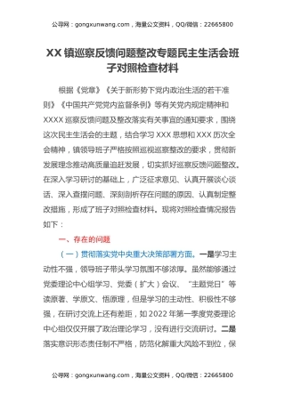 XX镇巡察反馈问题整改专题民主生活会班子对照检查材料