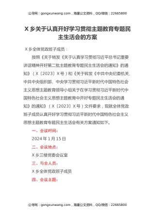 X乡关于认真开好学习贯彻主题教育专题民主生活会的方案