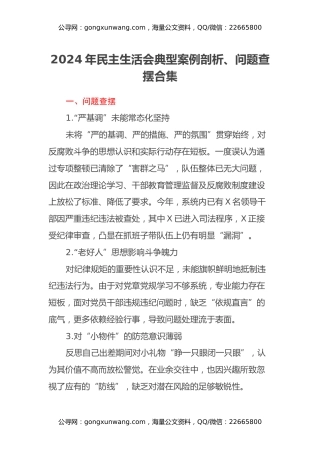 2024年民主生活会典型案例剖析、问题查摆合集