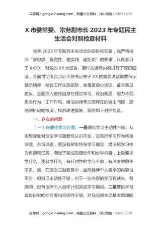 X市委常委、常务副市长2023年专题民主生活会对照检查材料