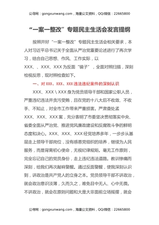 “一案一整改”专题民主生活会发言提纲