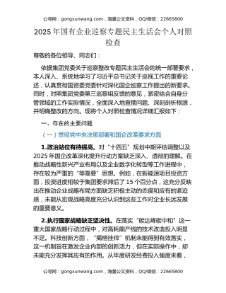 2025年国有企业巡察专题民主生活会个人对照检查