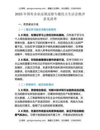 2025年国有企业巡视巡察专题民主生活会批评意见清单