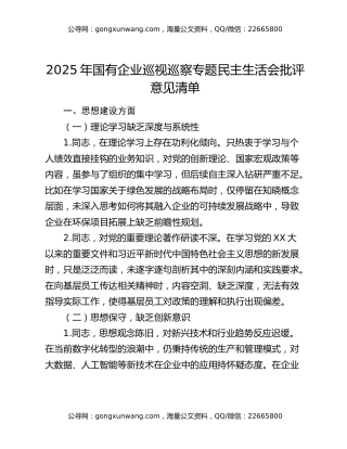 2025年国有企业巡视巡察专题民主生活会批评意见清单 (2)