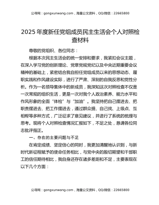 2025年度新任党组成员民主生活会个人对照检查材料
