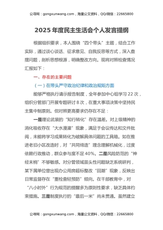 2025年度民主生活会个人发言提纲（四个带头）