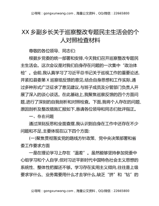 XX乡副乡长关于巡察整改专题民主生活会的个人对照检查材料