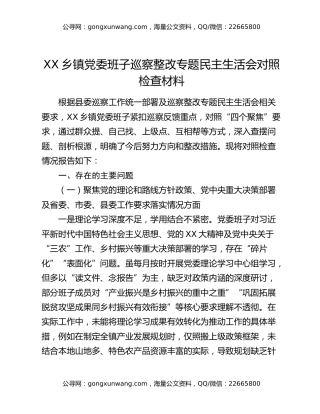 XX乡镇党委班子巡察整改专题民主生活会对照检查材料