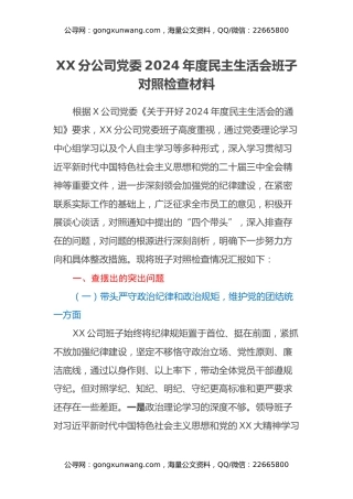 XX分公司党委2024年度民主生活会班子对照检查材料（四个带头含典型案例分析）