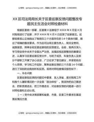 XX区司法局局长关于区委巡察反馈问题整改专题民主生活会对照检查材料