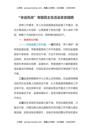 “未巡先改”专题民主生活会发言提纲 (2)
