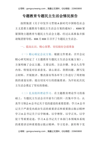 专题主题教育专题民主生活会情况报告