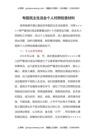 专题民主生活会个人对照检查材料（2）
