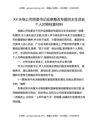 XX水电公司党委书记巡察整改专题民主生活会个人对照检查材料
