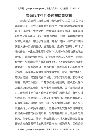 专题民主生活会对照检查材料3