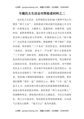专题民主生活会对照检查材料之二