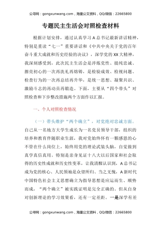 专题民主生活会对照检查材料（2）