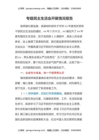 专题民主生活会开展情况报告