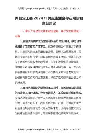 两新党工委2024年民主生活会存在问题和意见建议