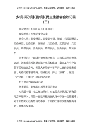 乡镇书记镇长副镇长民主生活会会议记录（三）