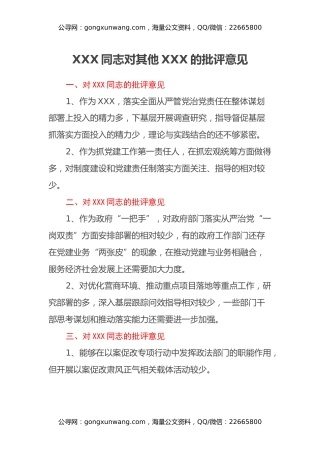 专题民主生活会班子成员批评意见