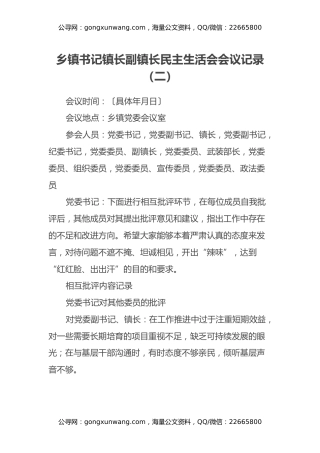 乡镇书记镇长副镇长民主生活会会议记录（二）