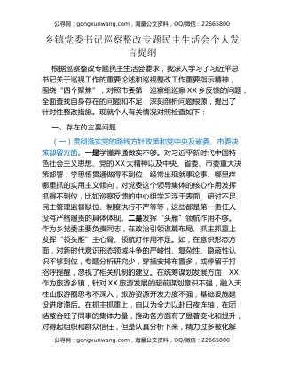 乡镇党委书记巡察整改专题民主生活会个人发言提纲