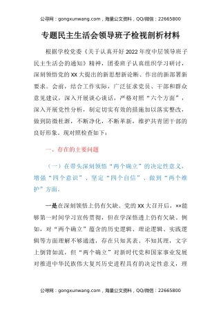 专题民主生活会领导班子检视剖析材料