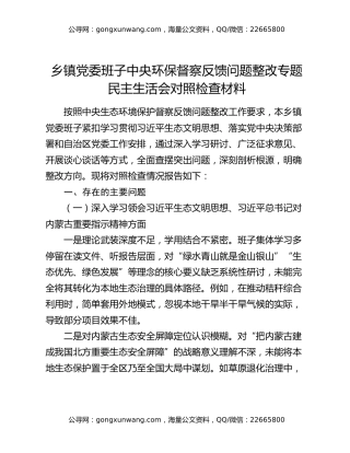 乡镇党委班子中央环保督察反馈问题整改专题民主生活会对照检查材料