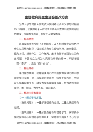 个人主题教育民主生活会问题整改方案