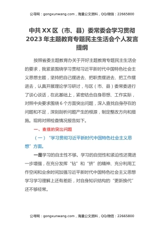 中共XX区（市、县）委常委会学习贯彻2023年主题教育专题民主生活会个人发言提纲（新六个方面、反面典型案例剖析）
