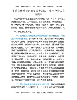 乡镇宣传委员巡察整改专题民主生活会个人发言提纲