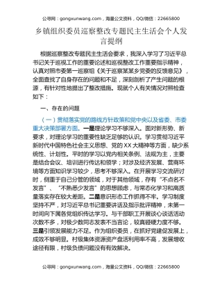 乡镇组织委员巡察整改专题民主生活会个人发言提纲