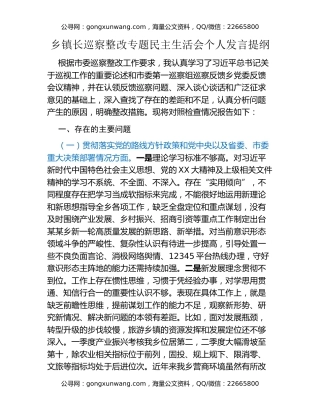 乡镇长巡察整改专题民主生活会个人发言提纲