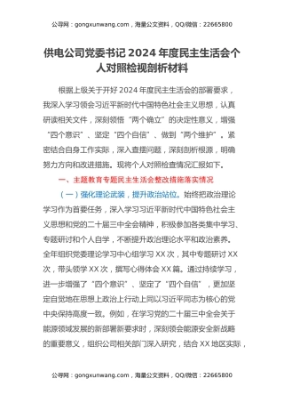 供电公司党委书记2024年度民主生活会个人对照检视剖析材料（主题教育整改措施落实情况+四个带头+典型案例举一反三进行剖析）