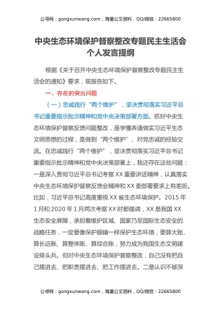 中央生态环境保护督察整改专题民主生活会个人发言提纲