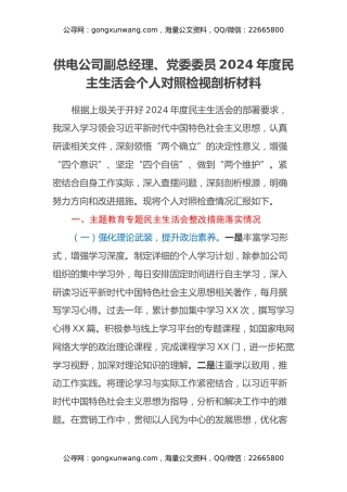 供电公司副总经理、党委委员2024年度民主生活会个人对照检视剖析材料（主题教育整改措施落实情况+四个带头+违规审批用电项目剖析）