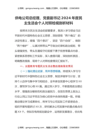 供电公司总经理、党委副书记2024年度民主生活会个人对照检视剖析材料
