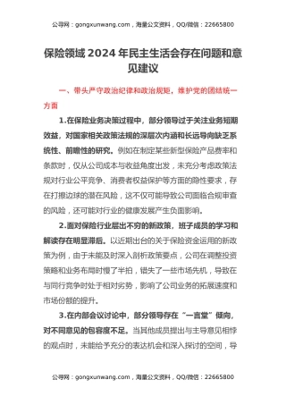 保险领域2024年民主生活会存在问题和意见建议
