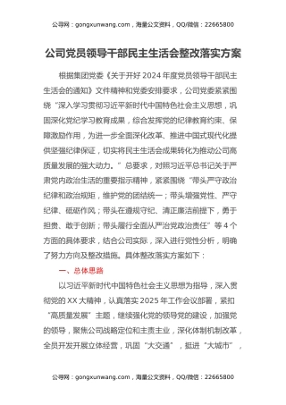 公司党员领导干部民主生活会整改落实方案