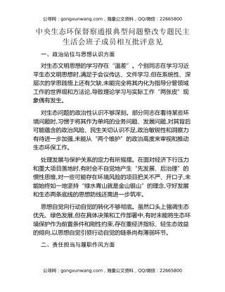 关于中央生态环保督察通报典型问题整改专题民主生活会班子成员相互批评意见