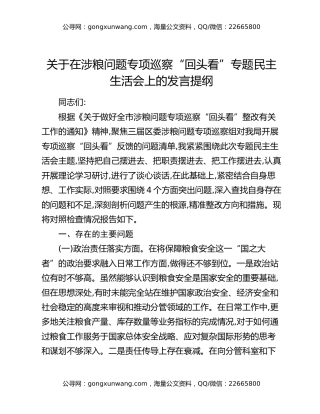 关于在涉粮问题专项巡察“回头看”专题民主生活会上的发言提纲