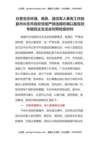 分管生态环境、商务、退役军人事务工作的副市长在市政府党组严禁违规吃喝以案促改专题民主生活会对照检查材料
