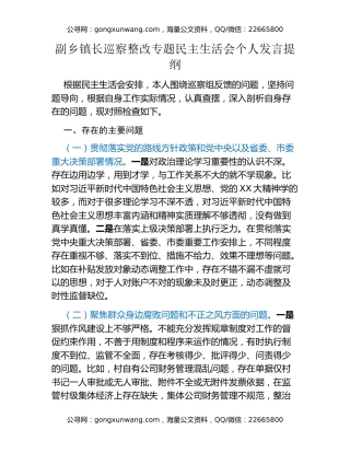 副乡镇长巡察整改专题民主生活会个人发言提纲