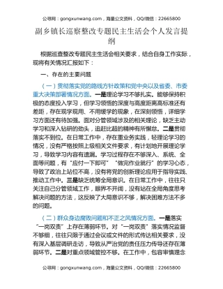 副乡镇长巡察整改专题民主生活会个人发言提纲 (2)