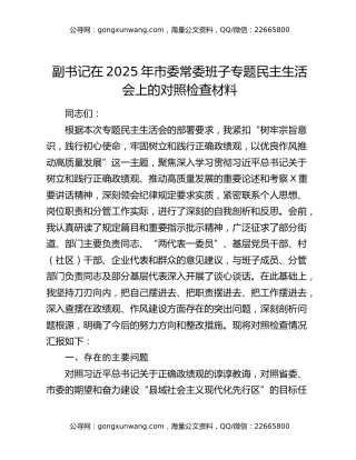 副书记在2025年市委常委班子专题民主生活会上的对照检查材料