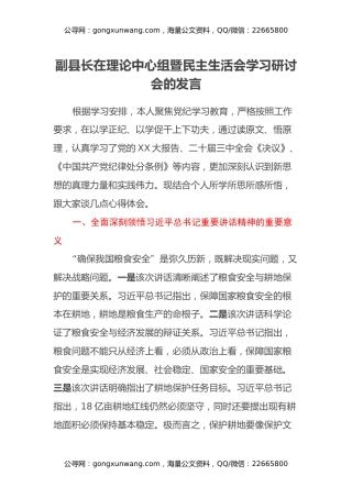 副县长在理论中心组暨民主生活会学习研讨会的发言 (2)